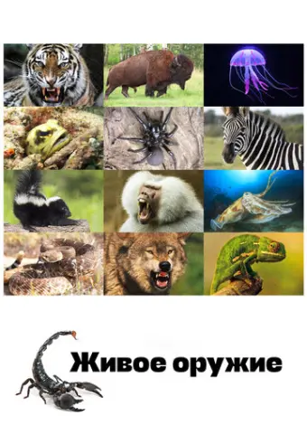 Живое оружие (2016)